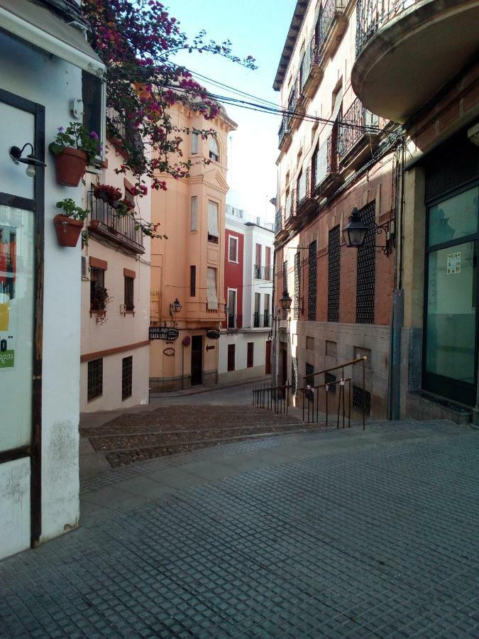 Vivienda Turistica Templo Romano Córdoba Exteriér fotografie